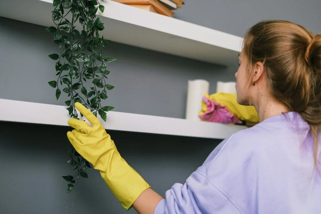 Cleaning Services in Bristol