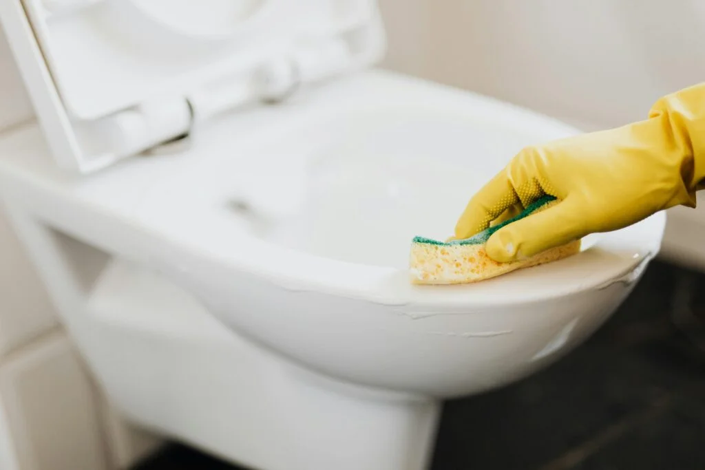 Domestic Cleaner in Bristol